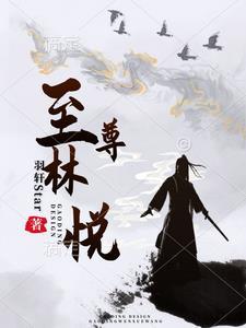 至尊王者林昊