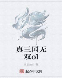 真三国无双ol追讨赃物