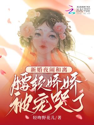 新婚之夜闹离婚