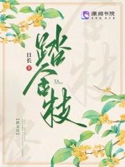 踏金枝鸣鉴完结